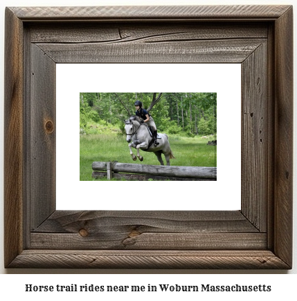 horse trail rides near me in Woburn, Massachusetts